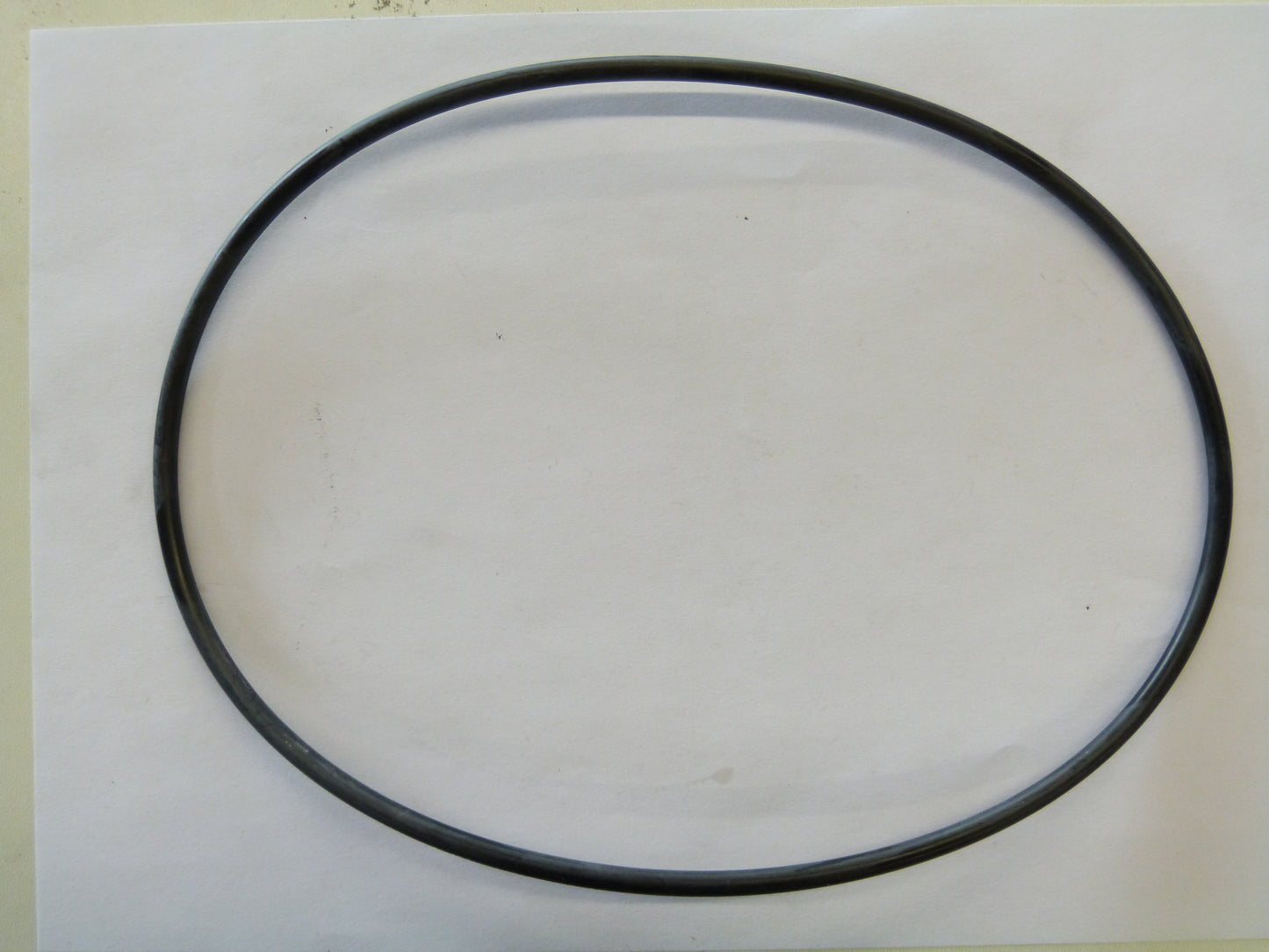 Image 1 of 900008890 O-RING RD 202,57X7.00 MAT.90 GR.SH.BUNA